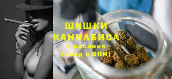 твердый Арсеньев