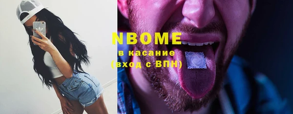 твердый Арсеньев