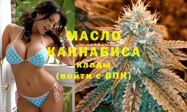 2c-b Горняк