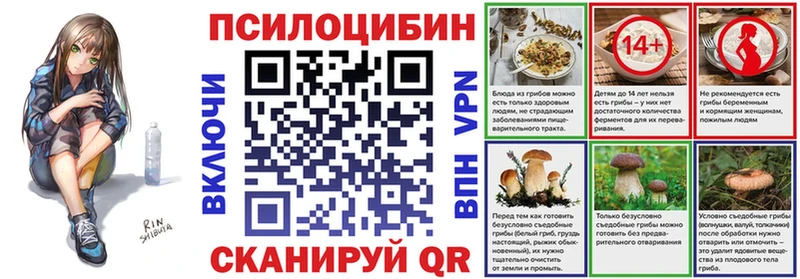 Псилоцибиновые грибы Psilocybe  Чайковский 