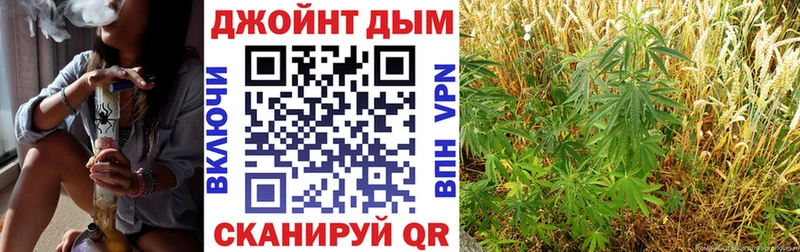где найти наркотики  Чайковский  Каннабис ГИДРОПОН 